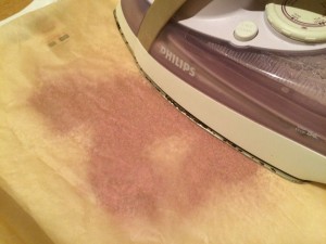 12212030_552379268259487_559679624_n