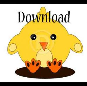 bild-vom-fertigen-kc3bcken